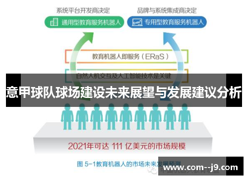意甲球队球场建设未来展望与发展建议分析