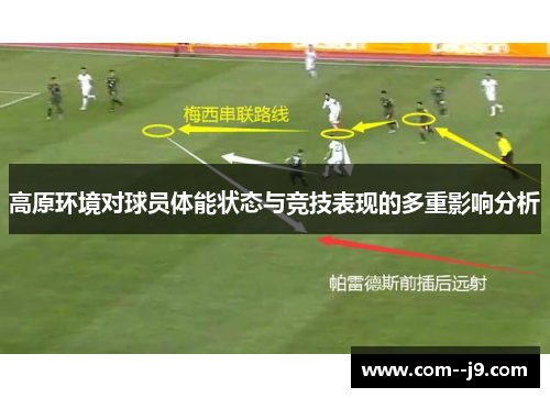 高原环境对球员体能状态与竞技表现的多重影响分析 高原环境对球员体能状态与竞技表现的多重影响分析