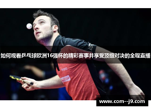 如何观看乒乓球欧洲16强杯的精彩赛事并享受顶级对决的全程直播