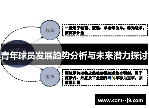 青年球员发展趋势分析与未来潜力探讨